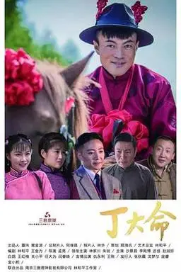 【丁大命】免费在线观看全集 - 国产电视剧 - 星辰影院