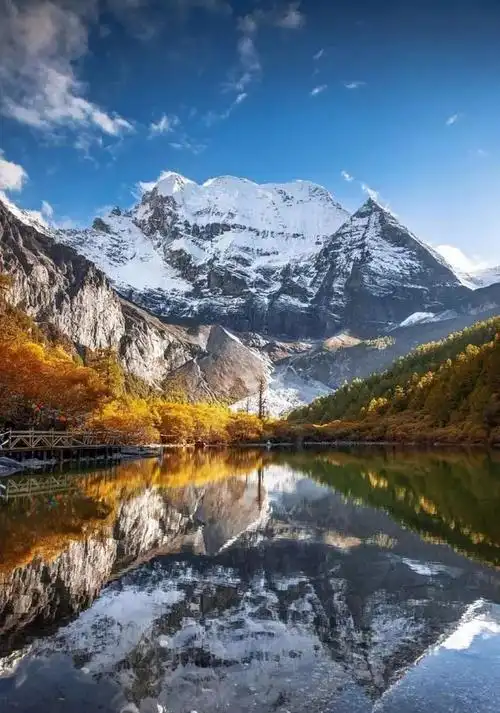 800_1141竖版 竖屏