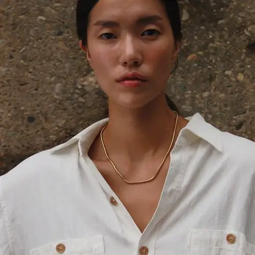 韩国augustharmony正品代购复古金属色粗款蛇骨链短项链锁骨链女