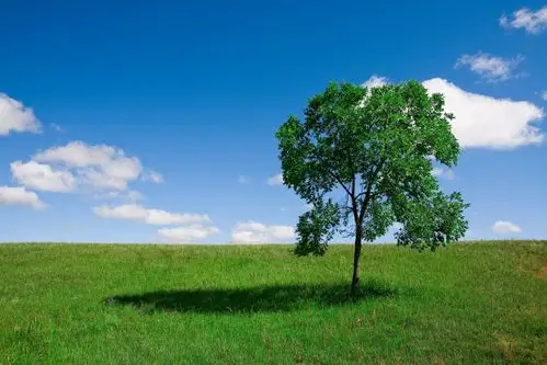 风景,大自然,风景,山路,电脑壁纸,壁纸乌兰木统绿色风景