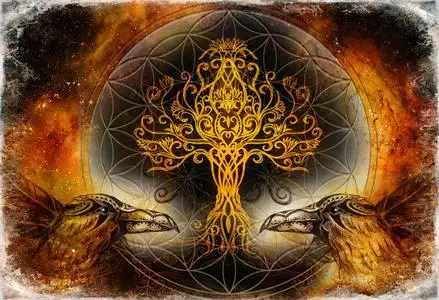 生命之树树画画图片