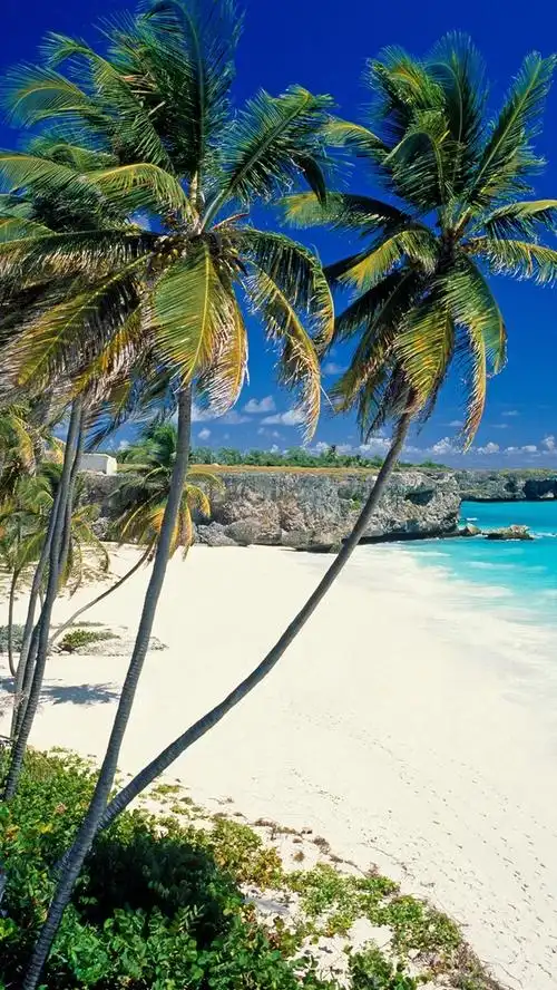 壁纸 海滩,棕榈树,大海,热带风光 2560x1920 hd 高清壁纸, 图片, 照片