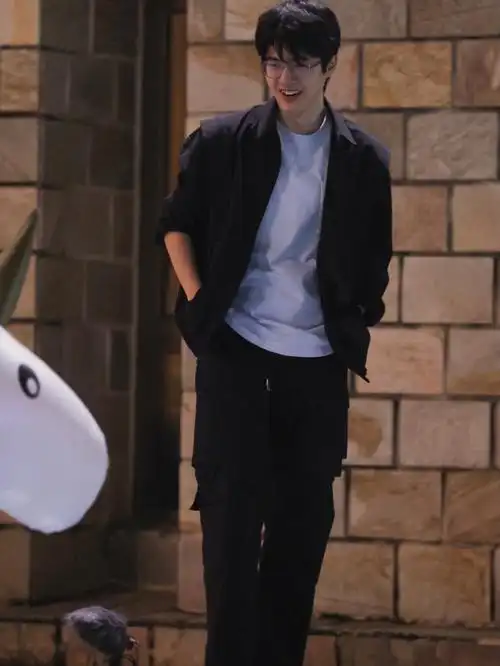 刘昊然壁纸四大墙头名不虚传