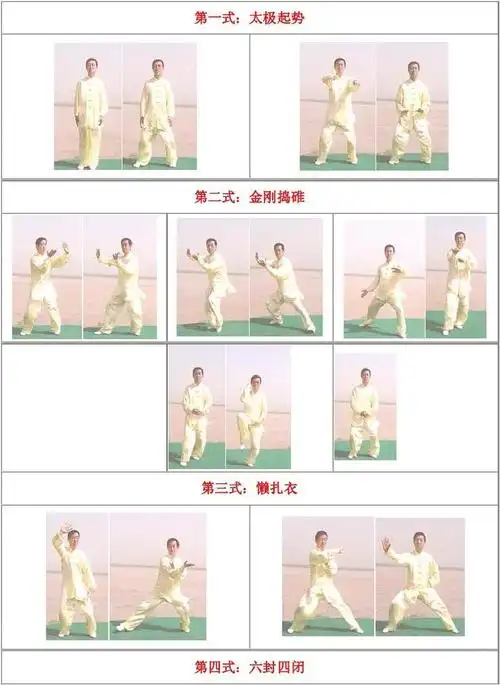 陈式太极拳精要十八式图