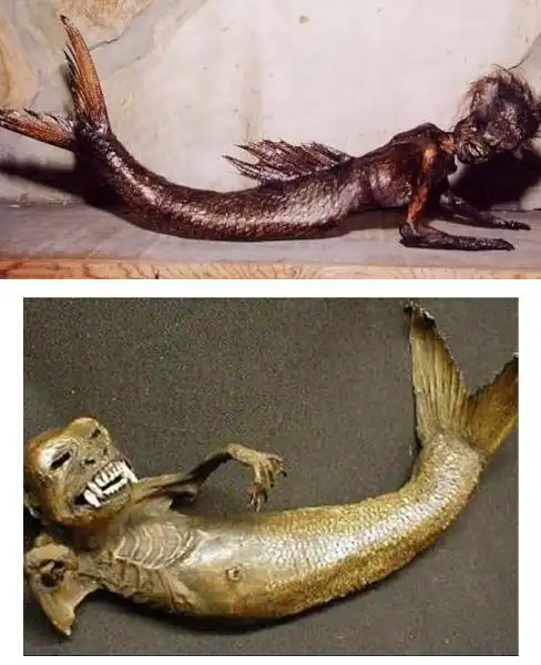 美人鱼真身恐怖吓人:带你欣赏真实美人鱼图片(慎入)