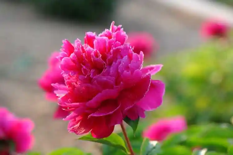 一个家庭最好的风水,无外乎这三句话