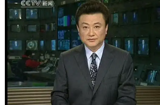 中央电视台王宁多大了