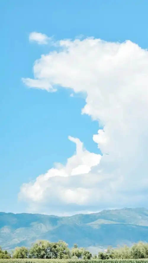 清新绿色风景高清手机壁纸图片~小清新绿色风景~特别适合做壁纸哦~喜