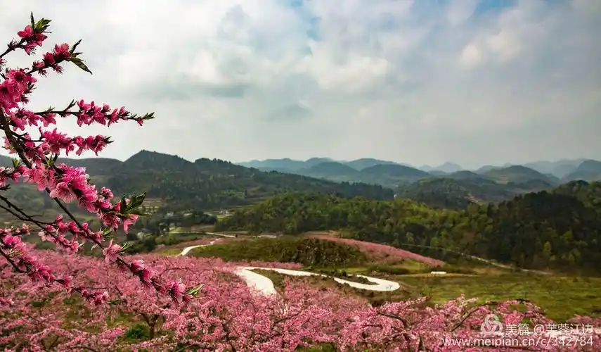 十里桃花正红时