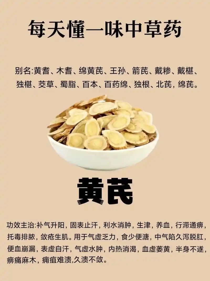 每天懂一味中草药91黄芪.[中药名]黄芪 [别    名]黄 - 抖音
