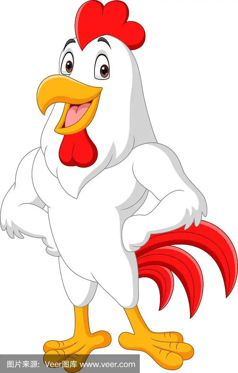 卡通公鸡摆出孤立的白色背景