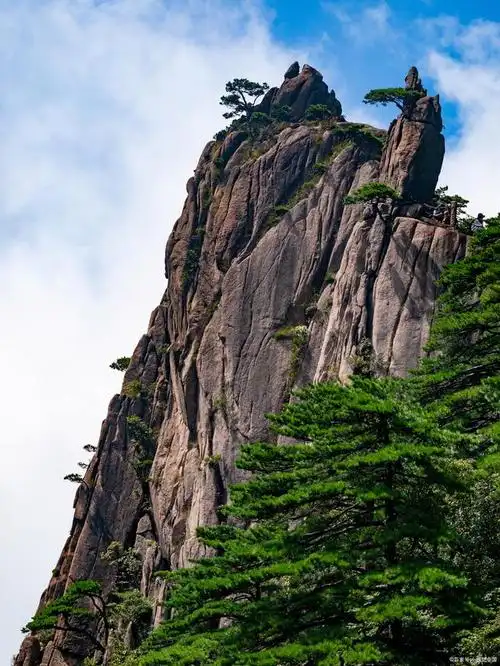 怎么去黄山风景区?