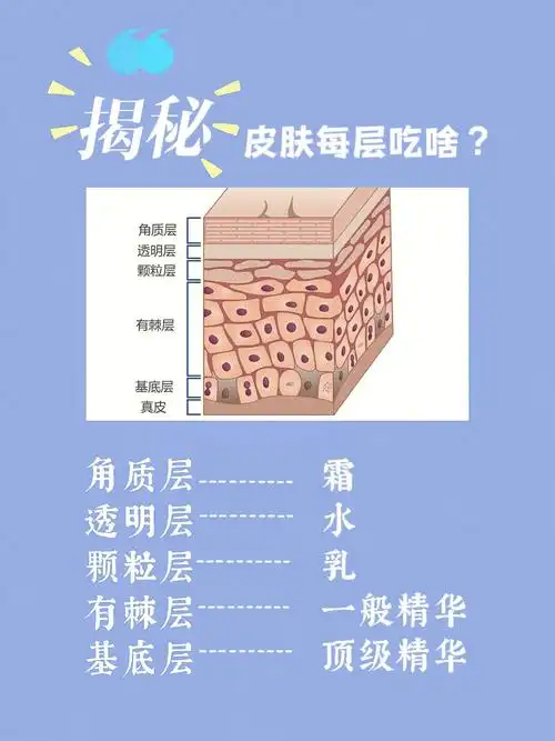 01"角质层"吃霜霜中的油分比水分含量多,无霜就会起皮屑,产生干纹