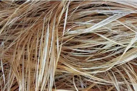 汉麻纤维图片九正家居汉麻纤维图片纤维图 - 优质问答专区更新时间