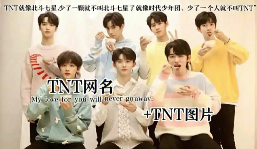 tnt粉丝网名单人lltnt图片