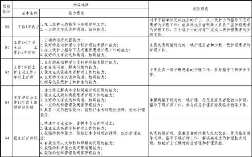 护理人员分级标准及岗位职责 工作表_word文档在线阅读与下载_无忧文