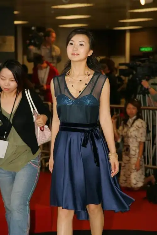 图文:陈好春风得意 红地毯上风光无限