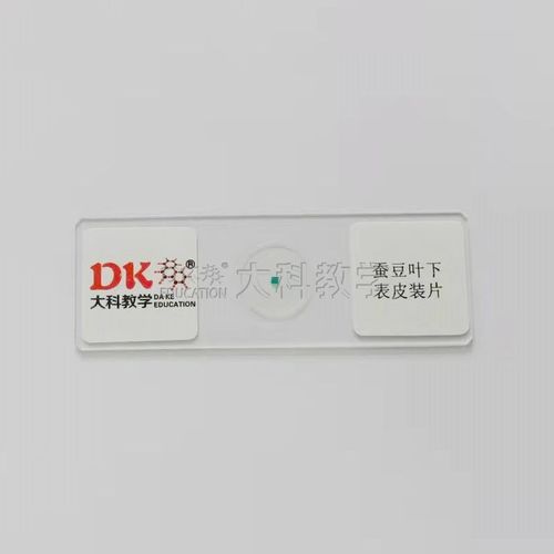 蚕豆叶下表皮装片 10片/盒  显微玻片 科学标本 中小学生生物切片