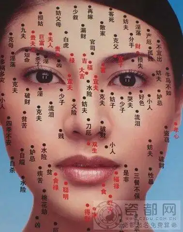 女人脸上痣相图