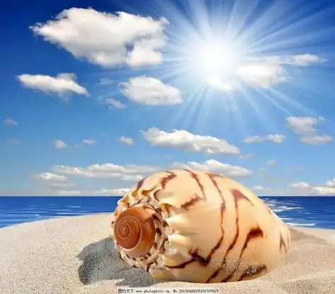 阳光大海的微信头像 - 搜狗图片搜索