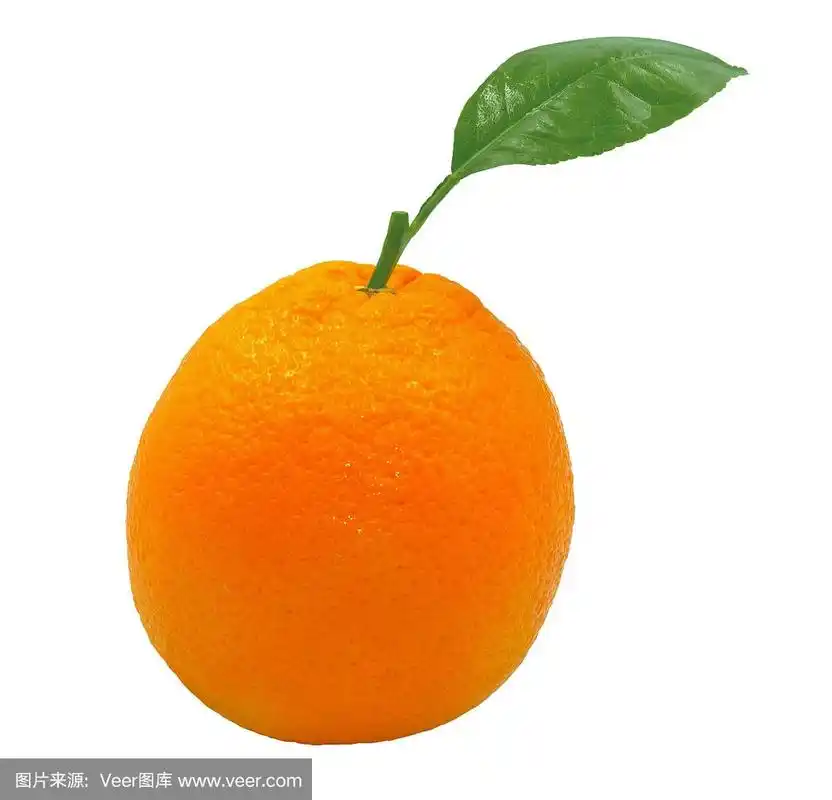 单个鲜橙果实,绿叶孤立在白色背景上,有修剪路径
