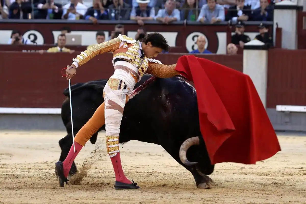 新华社/欧新斗牛活动是西班牙传统节日圣伊西德罗节的主要庆祝活动