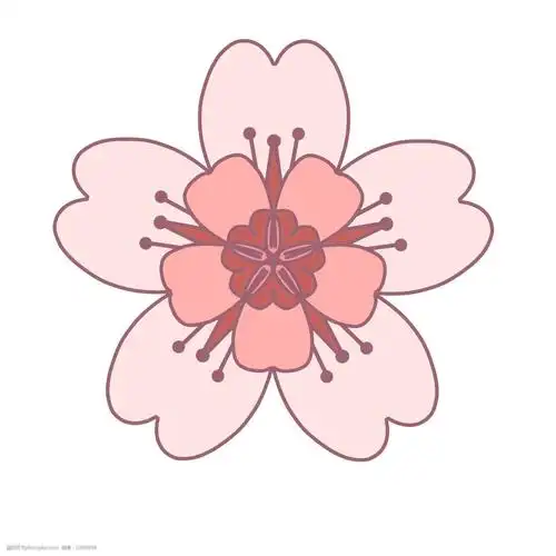 日本樱花装饰插画