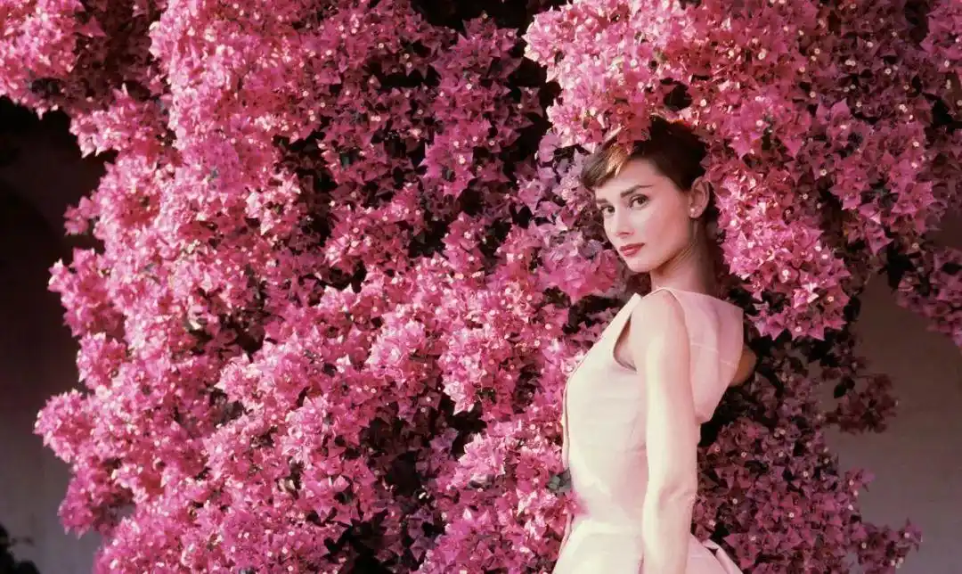 binking玫瑰海藻银耳羹:每个女生都有一颗粉红少女