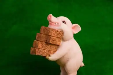 勤劳可爱的小猪 猪