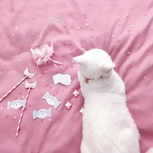 背景图|朋友圈背景图女生可爱