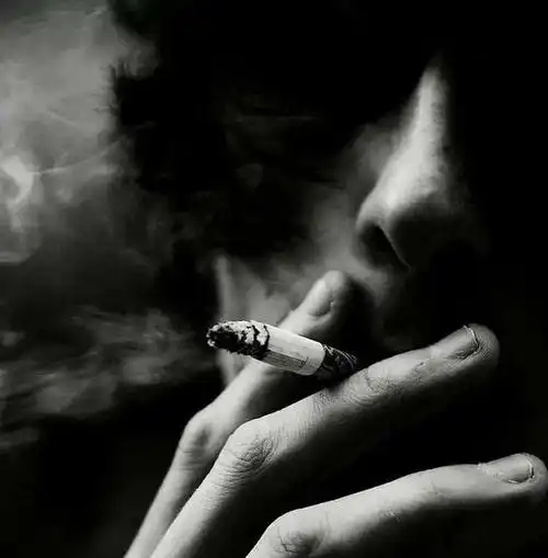 《风中的玉兰花》散文