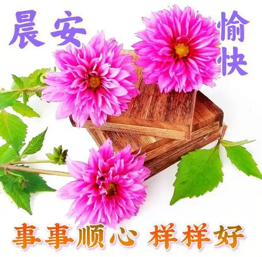 10月25日周三早上好美好的一天开始了最新版漂亮早安祝福语表情图片