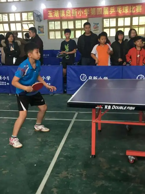 12月9号镇小学生乒乓球比赛