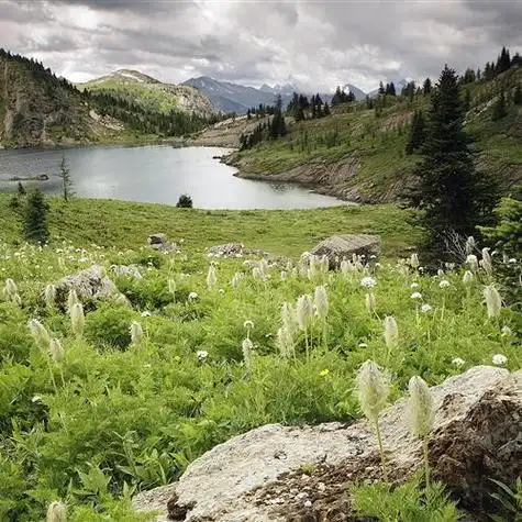 哀伤秋季风景头像