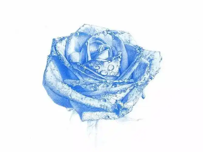 水溶彩铅这样画,效果简直美爆!