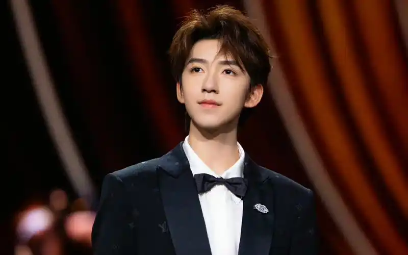 中国美少年贺峻霖