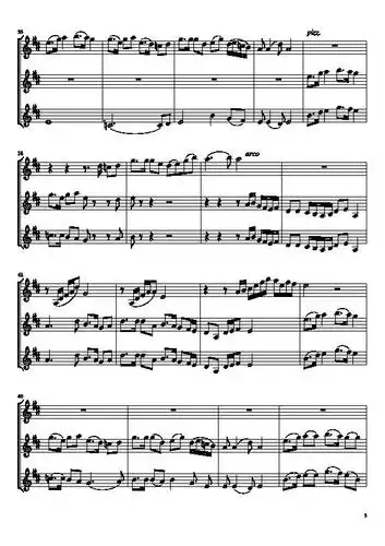 陈蓉晖荷花颂十八把小提琴附小提琴谱