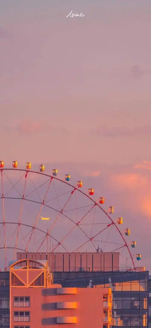 粉色系套图壁纸 ins壁纸# 侵权删