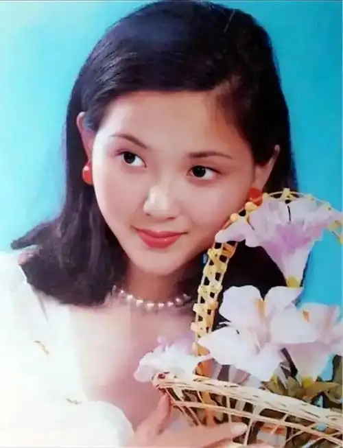 陶慧敏老公,陶慧敏年轻美照欣赏