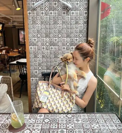 李多海与狗狗的亲蜜合影,幸福笑容引来粉丝狂欢