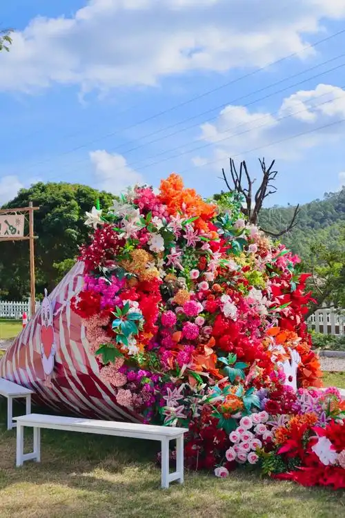 中山油菜花田,等你入镜!送门票|中山市_新浪财经_新浪网