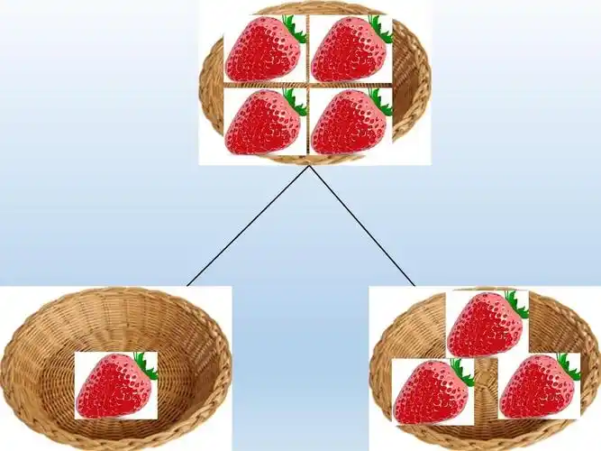 蓬莱市金水街幼儿园中班级部数学活动——4的分解与组成