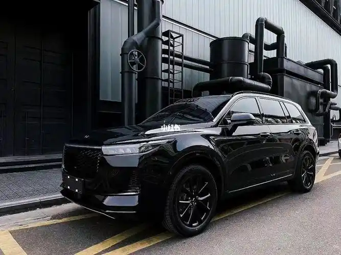 理想汽车  #理想one  #汽车  #新能源汽车  #理想one改装