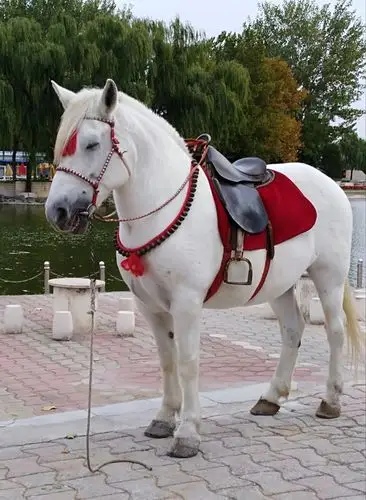 非洲风情表演 - 美篇