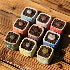 木栖 微型拇指 黑科技 纯手工控型多肉花盆 透气透水  生石花