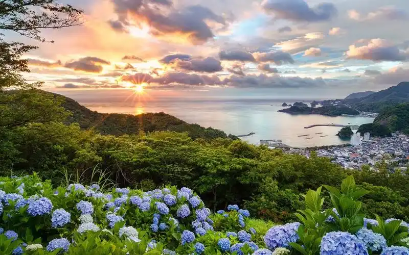 唯美海上开满山花的海岸电脑风景壁纸