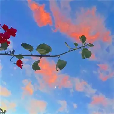 唯美风景头像图片大全高清