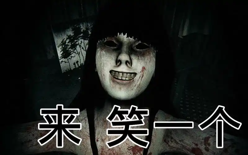 恐怖游戏我被女鬼吓傻了lurkinthedark