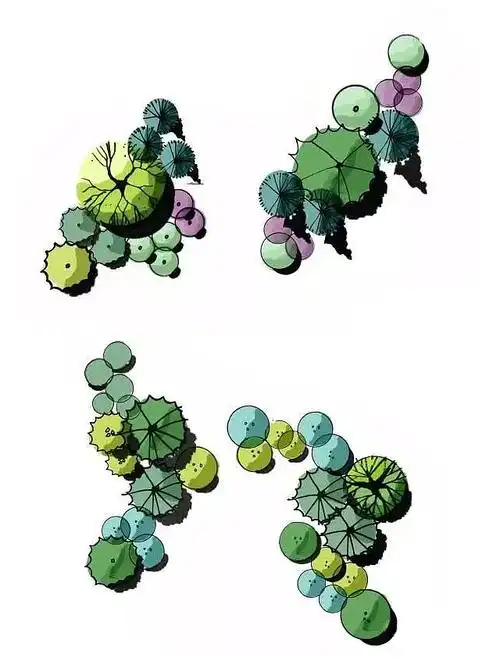 景观设计考研快题手绘/平面图手绘/植物配置组合形式