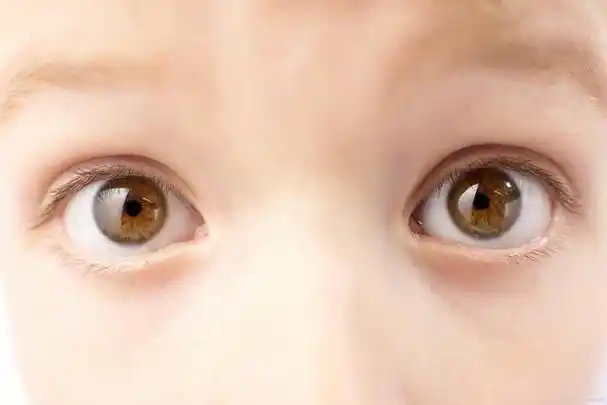 眼睛大小与心机探讨外貌特征与内在特质的关系